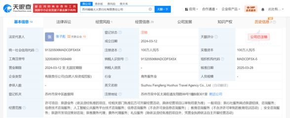 张雪峰名下旅行社注销与人工智能平台崛起 科技浪潮下的产业转型缩影